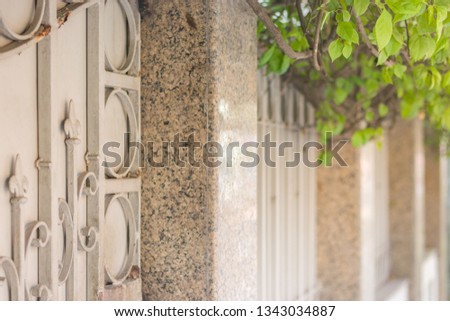 Image of a beautiful decorative cast iron wrought garden gate with artistic metal forging work and a marble wall with green leaves of foliage over it