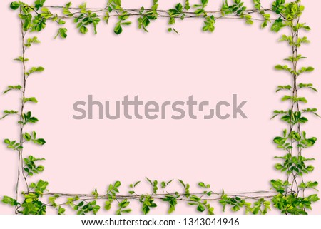leave and brance  growth over pink wall with space for texture