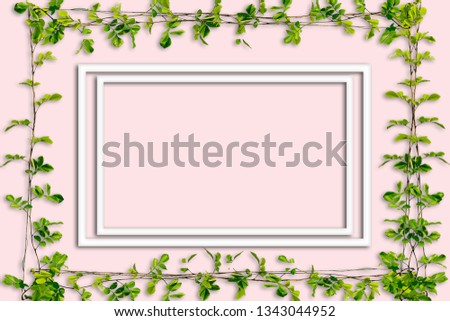 leave and brance  growth over pink wall and white box with space for text