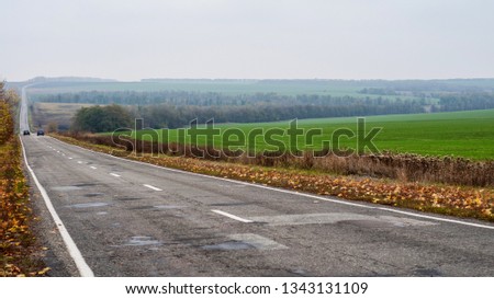Lonely road in autumn. Luhansk Region, Ukraine.