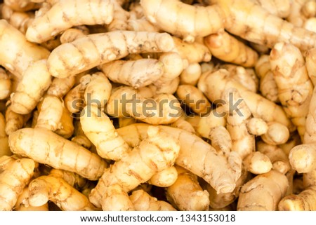 white turmeric or Curcuma mangga Valeton & Zijp is herbs, spice, food ingredien and also used in spa, cosmetic, selection focus only some point in picture