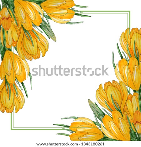Hand painted watercolor template of spring flowers. Yellow Crocus  and leaves isolated on a white background. Perfect for design, banners, card, textile