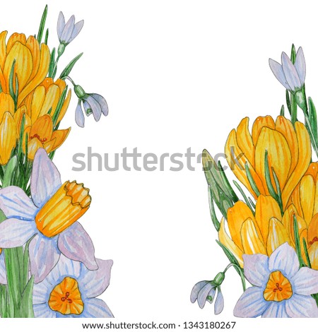 Hand painted watercolor template of spring flowers. Yellow Crocus, narcissus and leaves isolated on a white background. Perfect for design, banners, card, textile