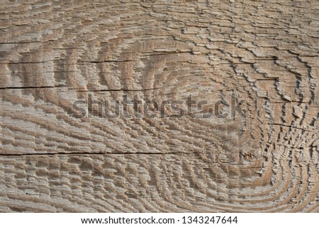 Old Wood Plank Texture on Dimmed Sun with Splinters and Dirt