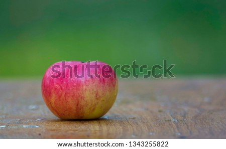 Red apple placed on a green background