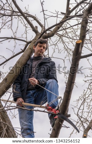 Man climbing high on an apple tree with pruner against sky. Pruning of fruit trees with lopper. Spring or autumn work in garden. Gardening concept
