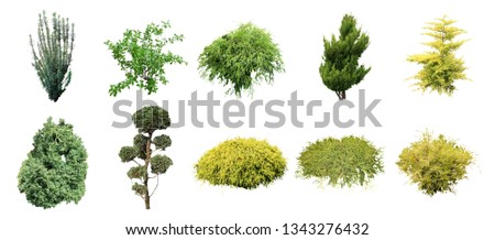 set of isolated shrub on white background with clipping paths