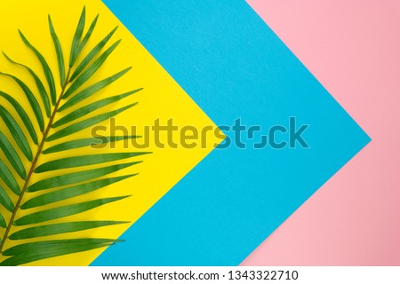 Creative layout of colorful green tropical leaves on pastel yellow, blue, pink paper background. Minimal summer exotic palm leaf concept with copy space. Top view. Flat lay.