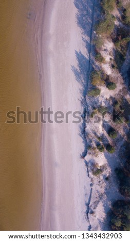 photo of beach from top with view on waves from flying drone and pink sandy beach with clear water, autumn colored trees, website background, vertical photo