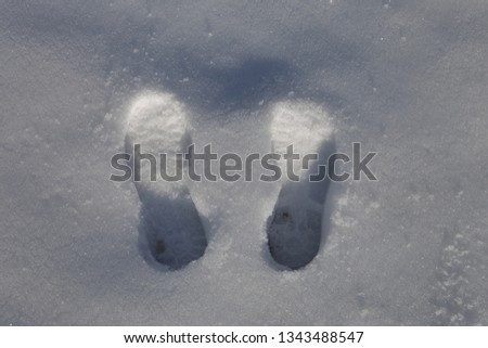 Man foot prints in the snow, pure white snow whit leg prints in the snow.