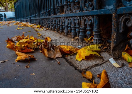 Fall in Paris 