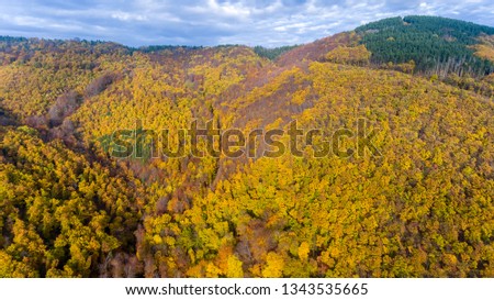 Aerial view of autumn forest with green, yellow and red trees. Wild forest in Bulgaria.