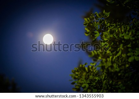 Blue full moon