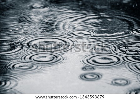 Water rain droplet splashes in puddle on ground. Dark, sad, moody and dramatic background. Water ripple texture.