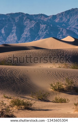 Mesquite Flat Sand Dunes of Death Valley NAtional park