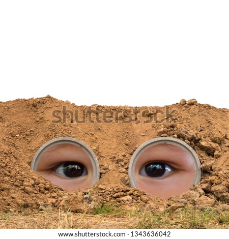 Both the concrete pipe isolates in the gravel pile with eyes. The babies are looking from the inside like wearing glasses.