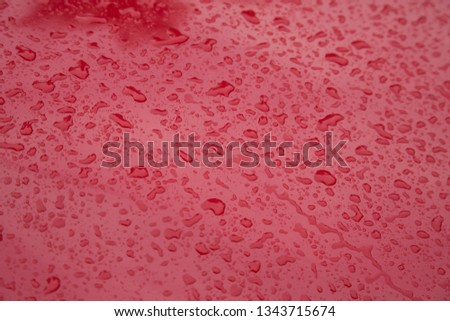 Water Drops On Red Background Texture colorful waterdrop .Dropets on metalic serface abstract background
