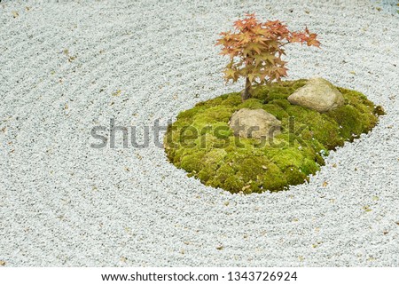 Japanese zen garden with plant, stone in raked sand