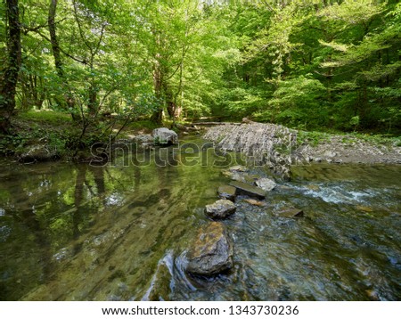 The mountain river in a stony channel flows through a dense green deciduous forest.
