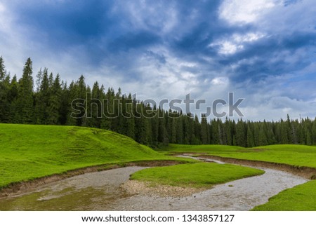 Beautiful mountain scenery in summer, with a green meadow, fir trees and storm clouds