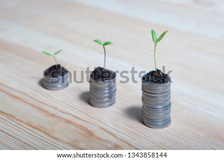 Idea money growing concept. Business success concept. Trees growing on pile of coins money 