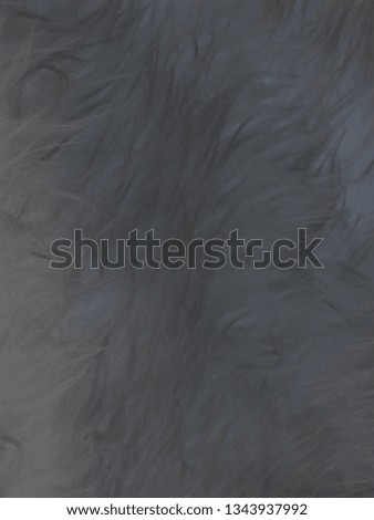 Wool feather background, texture and wallpaper