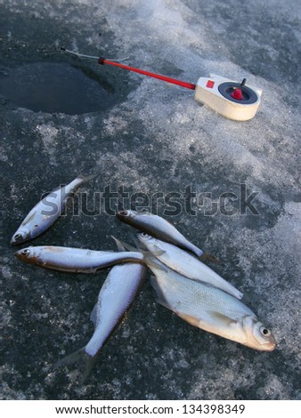 fish caught during the winter is on the ice near the wells