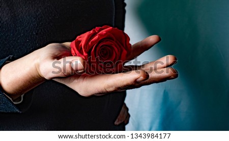 Woman's Hand With Rose