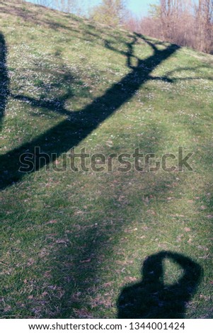 tree and man silhouette shadow on green grass at the park in a sunny day - concept and metaphor psychology nature