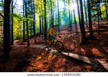 Mountain biker riding on bike in spring mountains forest landscape. Man cycling MTB enduro flow trail track. Outdoor sport activity. Motion Blur picture.