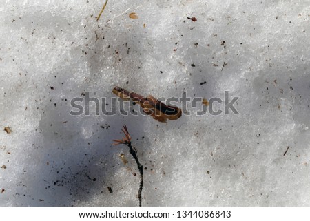 Details of nature during winter: this photo includes some snow with some organic dirt on it. Beautiful uneven surface with interesting shadows. Photographed during sunny Finnish spring day.
