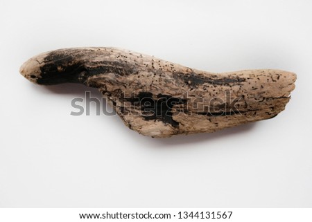 Driftwood/aged wood over white background. Isolated piece of driftwood top view. Driftwood stick closeup, wood texture for aquarium.