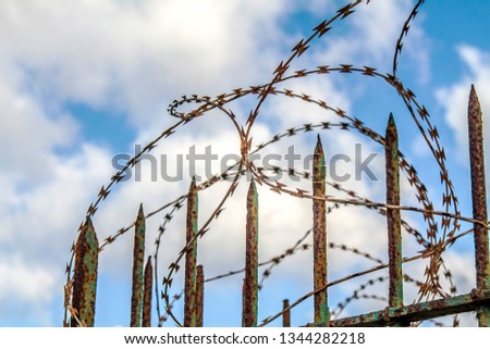 Metal barbed wire against the sky