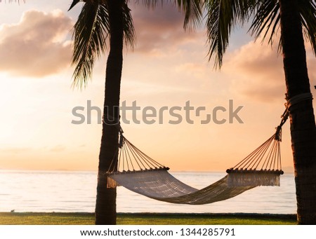 hammock on tropical palm trees overlooking the sea and sunset