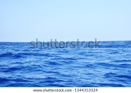 View of blue whale in deep blue India ocean, summer background for holiday concept, space blue sky wity skyscraper 