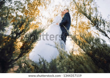 The couple on the nature.Wedding photo.Blurred background