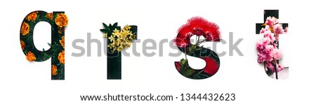 Flower font letter q, r, s, t Create with real alive flowers and Precious paper cut shape of alphabet. Collection of brilliant bloom flora font for your unique text, typography with many concept ideas Royalty-Free Stock Photo #1344432623