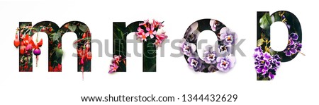 Flower font letter m, n, o, p Create with real alive flowers and Precious paper cut shape of alphabet. Collection of brilliant bloom flora font for your unique text, typography with many concept ideas Royalty-Free Stock Photo #1344432629