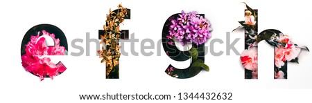Flower font letter e, f, g, h Create with real alive flowers and Precious paper cut shape of alphabet. Collection of brilliant bloom flora font for your unique text, typography with many concept ideas Royalty-Free Stock Photo #1344432632