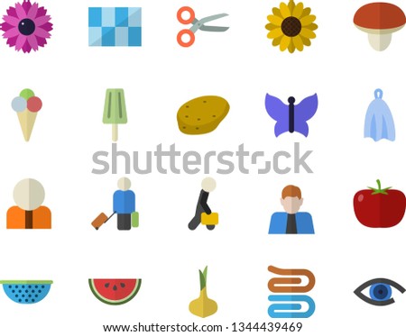 Color flat icon set tile flat vector, colander, towel, mushroom, potato, tomato, onion, watermelon, ice cream, flower, butterflies, person, businessman, luggage fector, scissors, eye