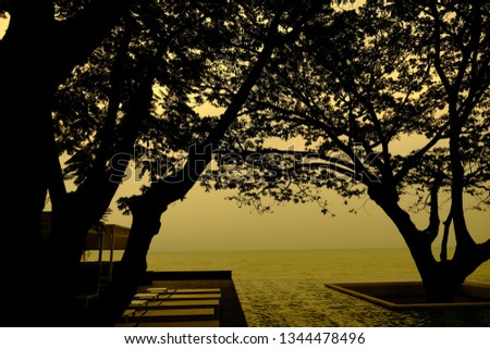 infinity pool tree sea sunset sillhuette