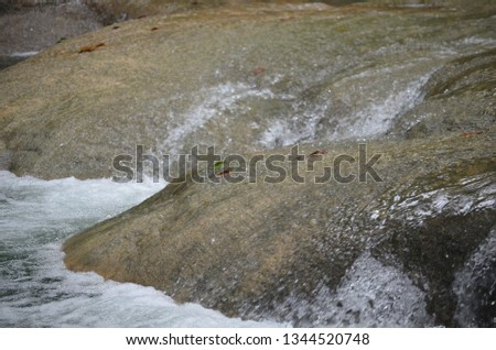 Tropical Waterfall Close Up and Isolated in Caribbean Jamaica West Indies