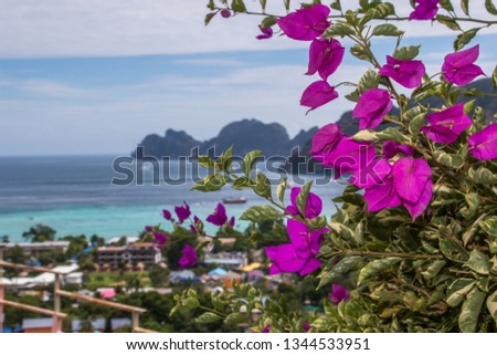 nice view to sea and mountains with flowers