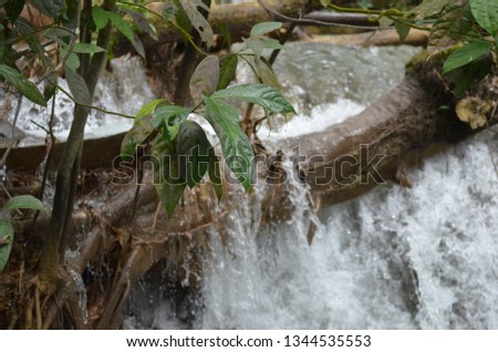 Tropical Waterfall in Jamaica