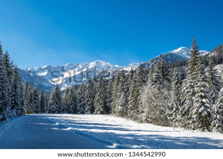 winter in Slovakia Tatra mountains. peaks and trees covered in snow with blue sky on sunny day. tourist trails in snow