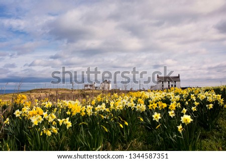 Seaton Sluice harbour in Northumberland is a tidal harbour for small craft and this image was shot at high tide on a calm sunny morning in March with the colourful daffodils in full bloom.