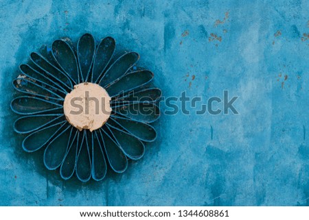 Iron flower Daisy on blue background close up