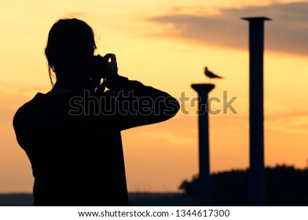 Young girl takes a picture of seagull sitting on pole at sunset. Silhouette of photographer with zoom camera on the background of a cloudy orange evening sky.  Walking outdoors at the golden hour