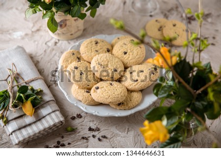 Chocolate Oatmeal Biscuit. Crispy and crumbly delicious cookies with natural ingredients: flour, nuts, seeds, pieces of chocolate, cocoa, fruit jams. Spring flower still life