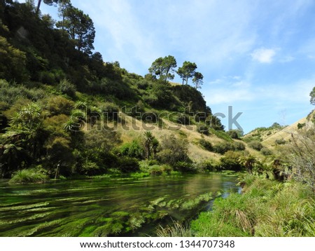 The fairy tale river Te Waihou in New Zealand